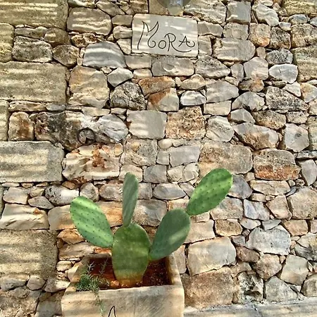 La Mora Villa *